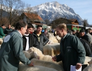 40 Jahre Schafzuchtverein Untermieming