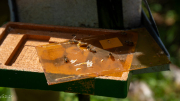 DSC02068
