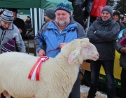 Jubiläumsausstellung – „70 Jahre Schafzuchtverein Barwies“
