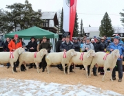 Jubiläumsausstellung – „70 Jahre Schafzuchtverein Barwies“