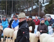 Jubiläumsausstellung – „70 Jahre Schafzuchtverein Barwies“