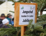 Jubiläumsausstellung – „70 Jahre Schafzuchtverein Barwies“