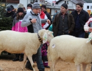 Jubiläumsausstellung – „70 Jahre Schafzuchtverein Barwies“