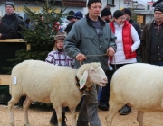 Jubiläumsausstellung – „70 Jahre Schafzuchtverein Barwies“