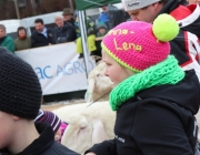 Jubiläumsausstellung – „70 Jahre Schafzuchtverein Barwies“