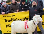 Jubiläumsausstellung – „70 Jahre Schafzuchtverein Barwies“