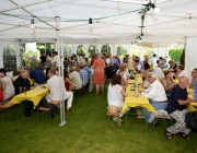 afrafest-2014_045