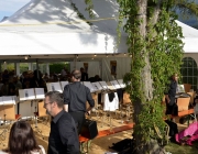 afrafest-2014_097
