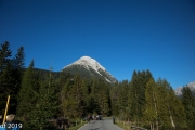 Almabtrieb2019_2048-13