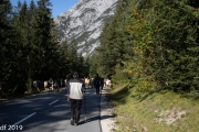 Almabtrieb2019_2048-16