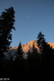 Almabtrieb2019_2048-3