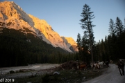 Almabtrieb2019_2048-5