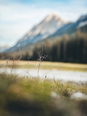 almabtrieb_2019_2048px-36
