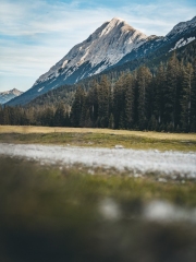 almabtrieb_2019_2048px-37