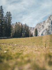 almabtrieb_2019_2048px-7