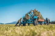 almabtrieb_2019_2048px-71