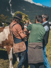 almabtrieb_2019_2048px-78