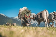 almabtrieb_2019_2048px-83