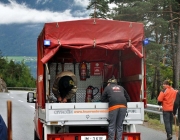 Almabtrieb Feldereralpe 2013 – „So wie seit 100 Jahren“