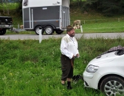 Almabtrieb Feldereralpe 2013 – „So wie seit 100 Jahren“