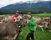 Almabtrieb Feldereralpe 2013 – „So wie seit 100 Jahren“