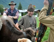 Almabtrieb Feldereralpe 2013 – „So wie seit 100 Jahren“