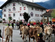 Almabtrieb Feldereralpe 2013 – „So wie seit 100 Jahren“