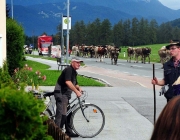 Almabtrieb Feldereralpe 2013 – „So wie seit 100 Jahren“