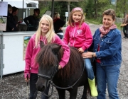 Almabtrieb Feldereralpe 2013 – „So wie seit 100 Jahren“