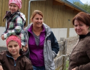 Almabtrieb Feldereralpe 2013 – „So wie seit 100 Jahren“
