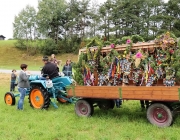 Almabtrieb Hochfeldern Alm 2016