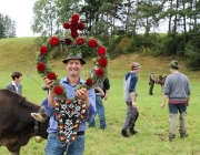 Almabtrieb Hochfeldern Alm 2016