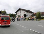Almabtrieb Hochfeldern Alm 2016
