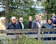 Almabtrieb Hochfeldern Alm 2016
