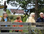 Almabtrieb Hochfeldern Alm 2016