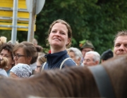 Almabtrieb Hochfeldern Alm 2016