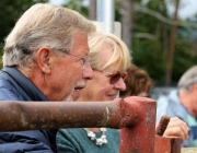 Almabtrieb Hochfeldern Alm 2016