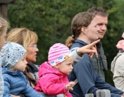Almabtrieb Hochfeldern Alm 2016