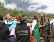 Almabtrieb Hochfeldern Alm 2016