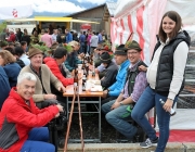 Almabtrieb Hochfeldern Alm 2016