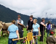 almabtrieb-feldereralpe-2014_a_124