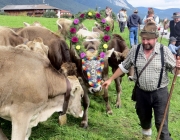 almabtrieb-feldereralpe-2014_a_126