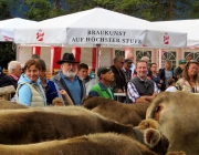 almabtrieb-feldereralpe-2014_a_170