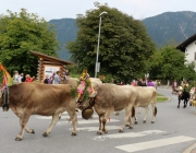 almfest-marienberg-alm-2013_103