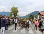 almfest-marienberg-alm-2013_108