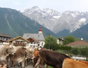 almfest-marienberg-alm-2013_132