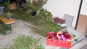 Almabtrieb 2018 01_Ankommen 011