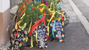 Almabtrieb 2018 01_Ankommen 012