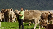 Almabtrieb 2018 Ankommen 015