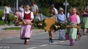 Almabtrieb 2018 Ankommen 043